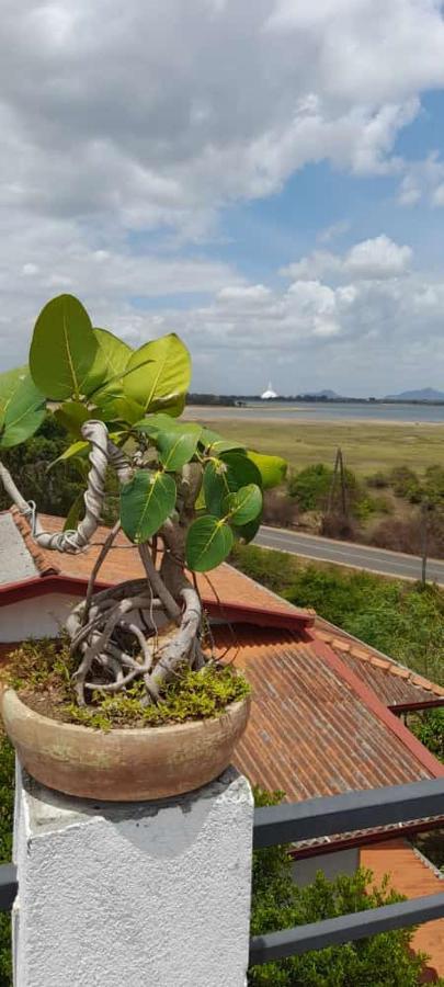 Lake Edge Resort Anuradhapura Luaran gambar