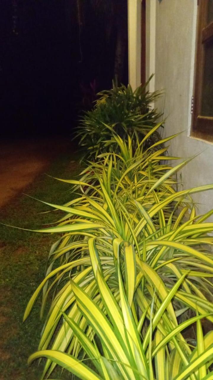 Lake Edge Resort Anuradhapura Luaran gambar